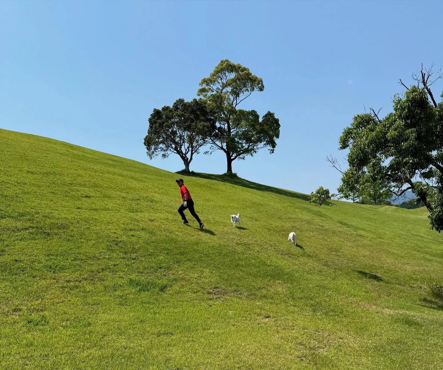 休日ゴルフ⛳️